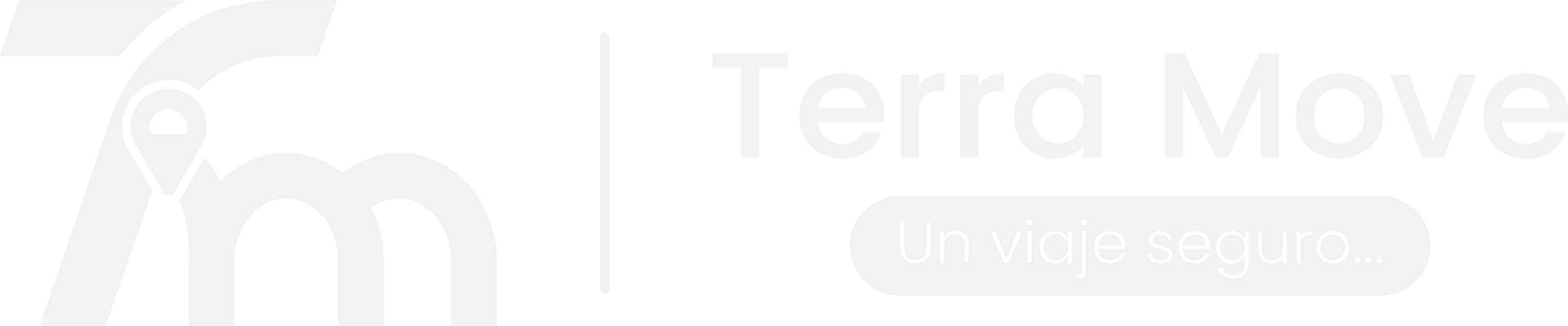 TerraMove — Transporte Terra